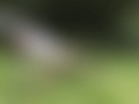Peeing Yoga P***y