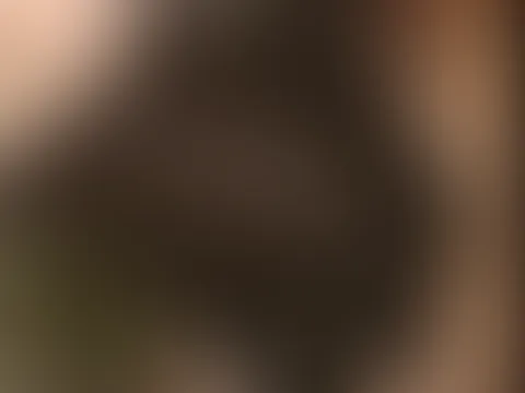 Mein Outfit gestern baby 🥰😜😎 ich weiss doch du stehst voll auf die lederstrapse 🤤 benutzt du mich? Da kommt neues geiles zeug baby 🥰😜💋 analplug zum steuern 🥰🤤 videos kommen