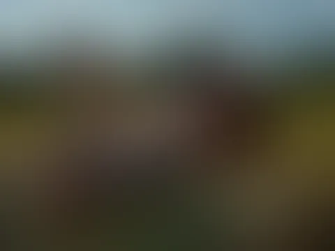 Etwas Spaß auf dem Strohballen? 😏