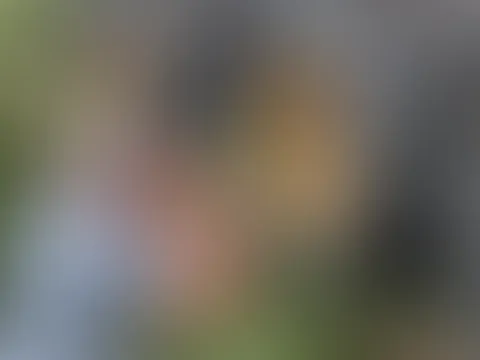 Ein kleiner Einblick hinter die Kulissen