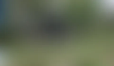 Wie versprochen hier ist das Video von unserem letzten Date im Spätjahr 2020 Kim und ich waren spazieren und haben es uns auf einer Parkbank gegenseitig besorgt😋😍 Bis so ein Typ vorbei kam...Uppsi😅