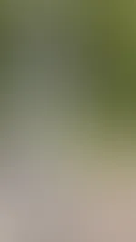 Rießenschaukeln sind das schönste, was ich in einem Park nur finden kann!