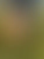 Wann liegst du mir endlich zu meinen göttlichen Füssen? 😈🦶
