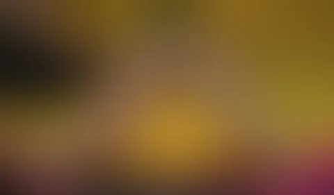 Mein erstes Femdom Video