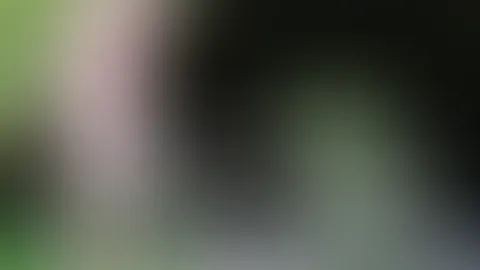 Da erwartet dich etwas neues