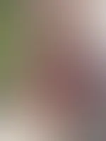 Sexy Urlaubsgrüße aus Kroatien