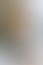 Komm wir bleiben heute im Bett liegen und f**ken für den Weltfrieden!