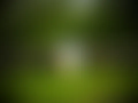 Ich wurde Beobachtet