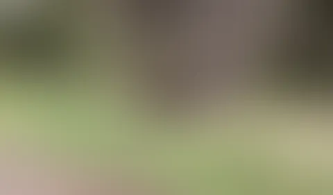 Schickes Dirndl trifft auf MILF im Wald. Ich massiere mir meine schönen Titten.