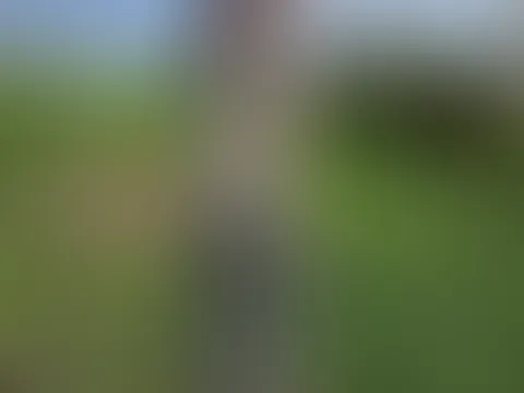 Wunderschönes Wetter 🌞 Noch nicht zu heiß, aber die Sonne wärmt schon angenehm… Perfekt zum Spazierengehen oder einfach draußen entspannen ☀️💕