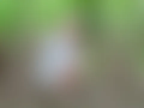 Spontane und versaute Rastplatz-Aktion für jedermann! Teil 3