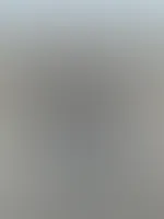 Etwas zerzauste Grüße von - na, wer weiß es?