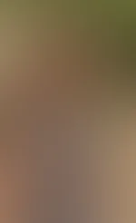 Grüße aus dem Grünen