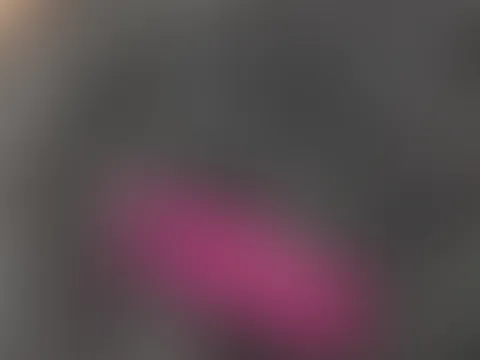 Feuchtgebiete 💦