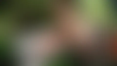 Ganz exklusiv bekommt ihr als erstes das Titelbild von meinem Fankalender 2027 zu sehen 😍