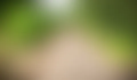 War heute joggen im Wald, hab zwischendurch eine kleine Pause gemacht, mich erleichtert und den Moment genutzt, ein bisschen für mich selbst zu sein🤭🤭