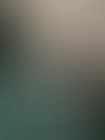 ðŸ¤