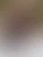 Ich habe mich im Wald verlaufen, zeigst du mir wo es rein und raus geht? đâ€ïžâđ„
