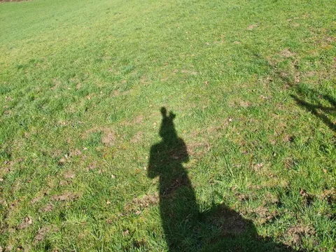 Frohe Ostern