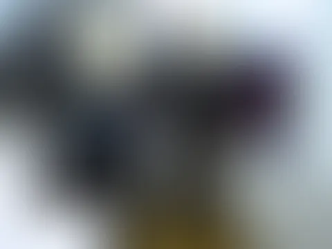 Hardcore F**kstück C*****t auf Leder