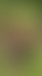 outdoor zu zweit Teil 2