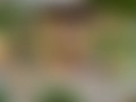 Frühlingsvibes… spürst du sie auch schon ☺️? Die Tage werden länger, die Stimmung steigt – und ich hab da etwas ganz Besonderes für dich vorbereitet 😱🔥 Was dabei rausgekommen ist… willst du nicht ve