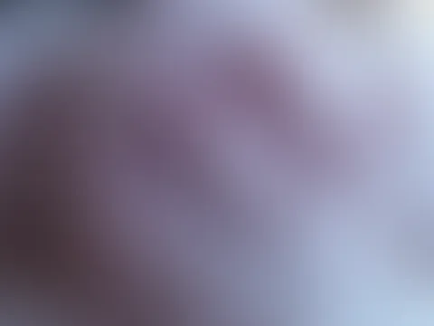 Die besten Naturbrüste :P