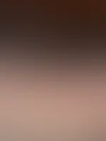 P***y Bilderđ