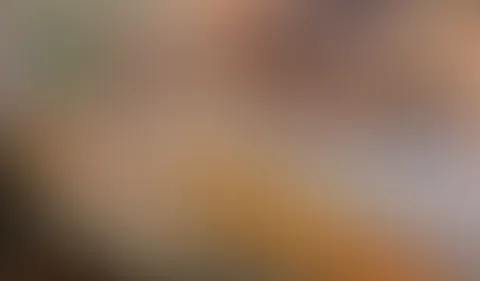 B****n f**ken Dildo
