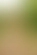 Hey meine Lieben😘, wie gefallen euch die neuen Bilder😋?