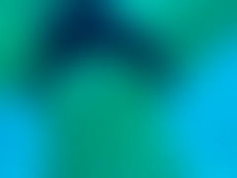 ✨