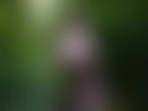 Caught this wild thing prowling through the trees... 🌿 My leopard print dress is barely hanging on, slipping just enough to tease these hungry curves 👀✨ The forest isn't the only thing that's wet ri