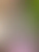 đđ„â€ïžâđ„