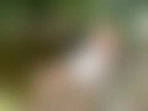 Ein geiler Blowjob am Teich endet mit Analsex und einem C******e😈