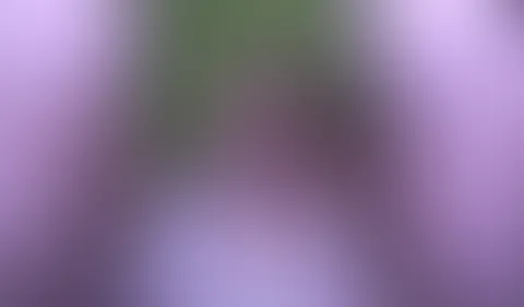 Spritz mir in den Mund Süßer!