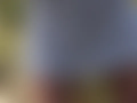 Stell dir vor was ich mache in Wald wenn ich mich ausziehen đđ