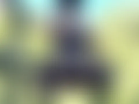 Gefallen dir solche Strumpfdessous?
