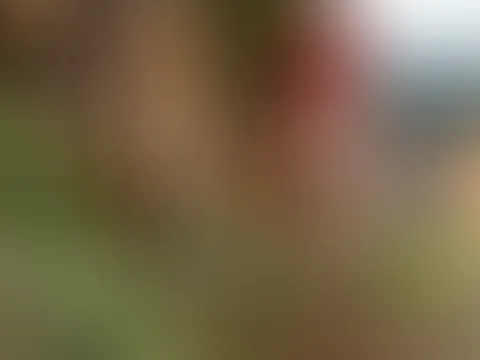 Die nackte Waldarbeiterin 18+