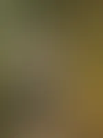 Komm… ich lass dich ein bisschen träumen.