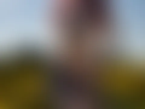 Verführung im Sonnenblumenfeld