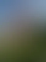 Ich hoffe ihr hattet auch so einen schönen Wochenstart đ„°đż etwas entspannt und feiern gewesen. Da darf man sich sonne und pool gönnen đ„° zusammen das nĂ€chste Mal?