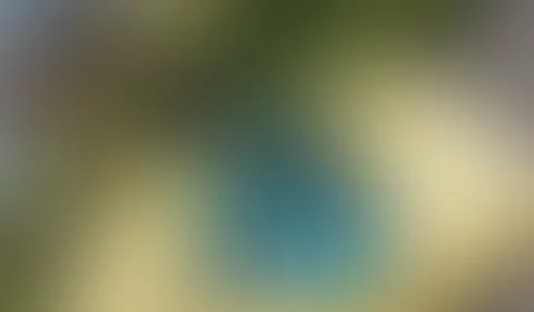 Sie hat ihn endlich, den lang ersehnten Führerschein! 💚 Das heißt, künftig kann es also auch vermehrt outdoor und im Car zur Sache gehen!! 🔥 Und natürlich, an noch viel schöneren, bislang unerreichb