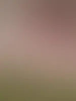 Möchtest du mehr sehen? Dann schließ doch ein unverbindliches Abo für 10 € im Monat ab und erhalte alle Beiträge kostenlos, um nichts mehr zu verpassen!