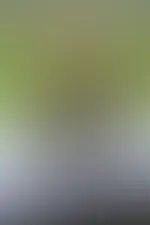 Nur wir zwei, drauĂen in der Natur ? đ€«đ