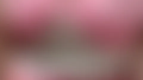 🌸🌸🌸