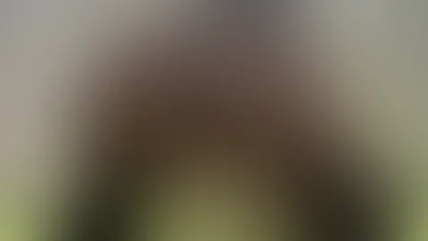 Ein tiefer Einblick für dich😈