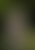 Na wie findest du die Bilder? 🥰