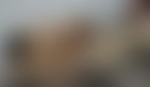 Kopf oder Zahl – Die Party Bitch 2