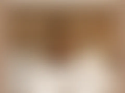 ✨Überraschung auf dem Hotelzimmer✨