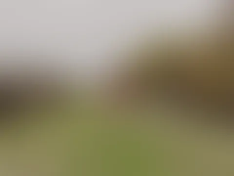 Würdest du mit mir joggen oder anderen Sport gemeinsam machen?ðŸ¤